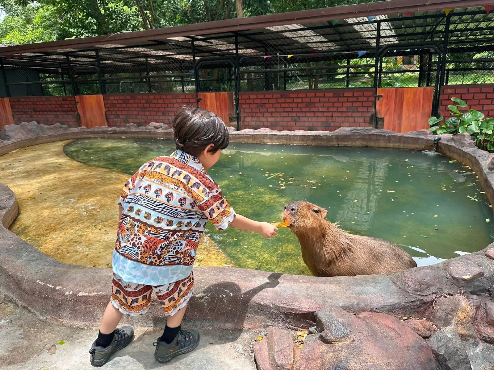 Experiência em família com elefante na Tailândia